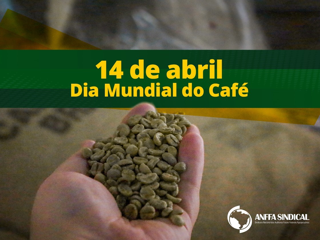 Dia Mundial do Café: a fiscalização de Auditores Agropecuários em uma das bebidas mais consumidas do Brasil