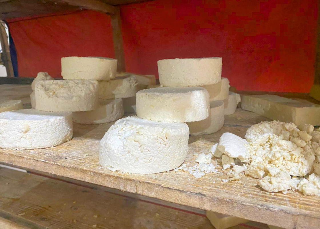 Com mofo, queijos eram reutilizados na forma de “ralados” para comércio em MG