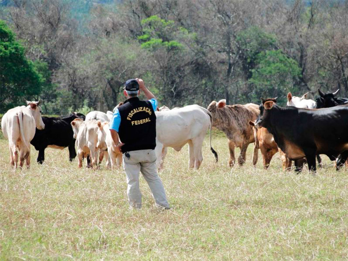 Quais os principais problemas para a defesa agropecuária brasileira?