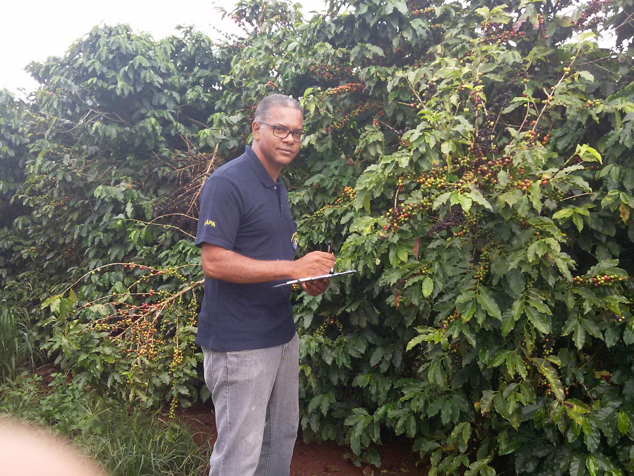 	AFFA José Maurício Pereira,Engenheiro Agrônomo, DSc em Fitopatologia	