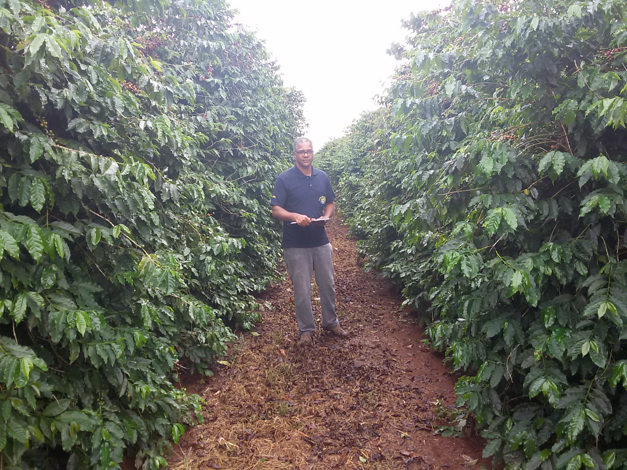 	AFFA José Maurício Pereira em fiscalização de campos de café	