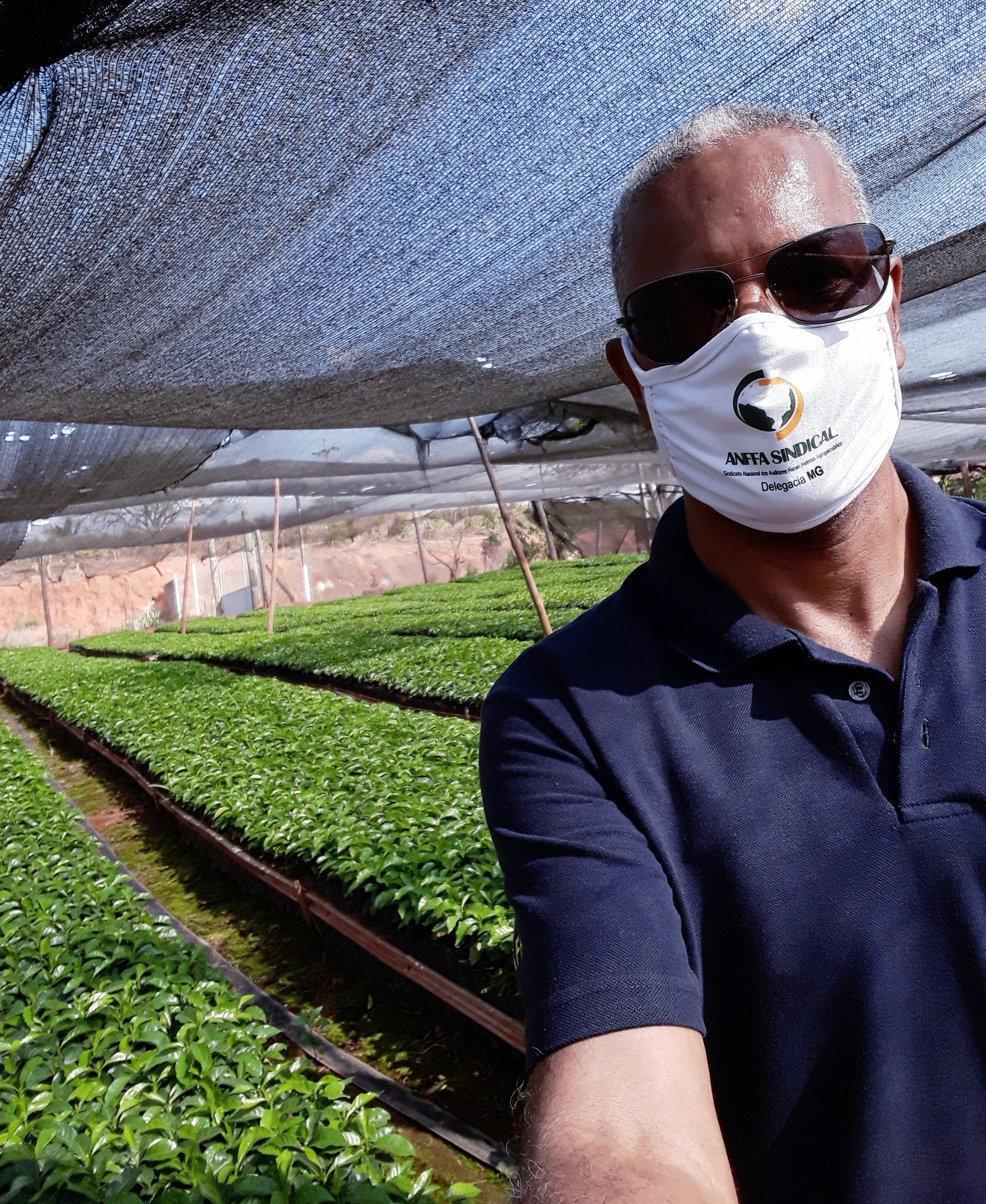 	AFFA José Maurício Pereira realiza fiscalização em viveiro de mudas de café no Sul de Minas.	