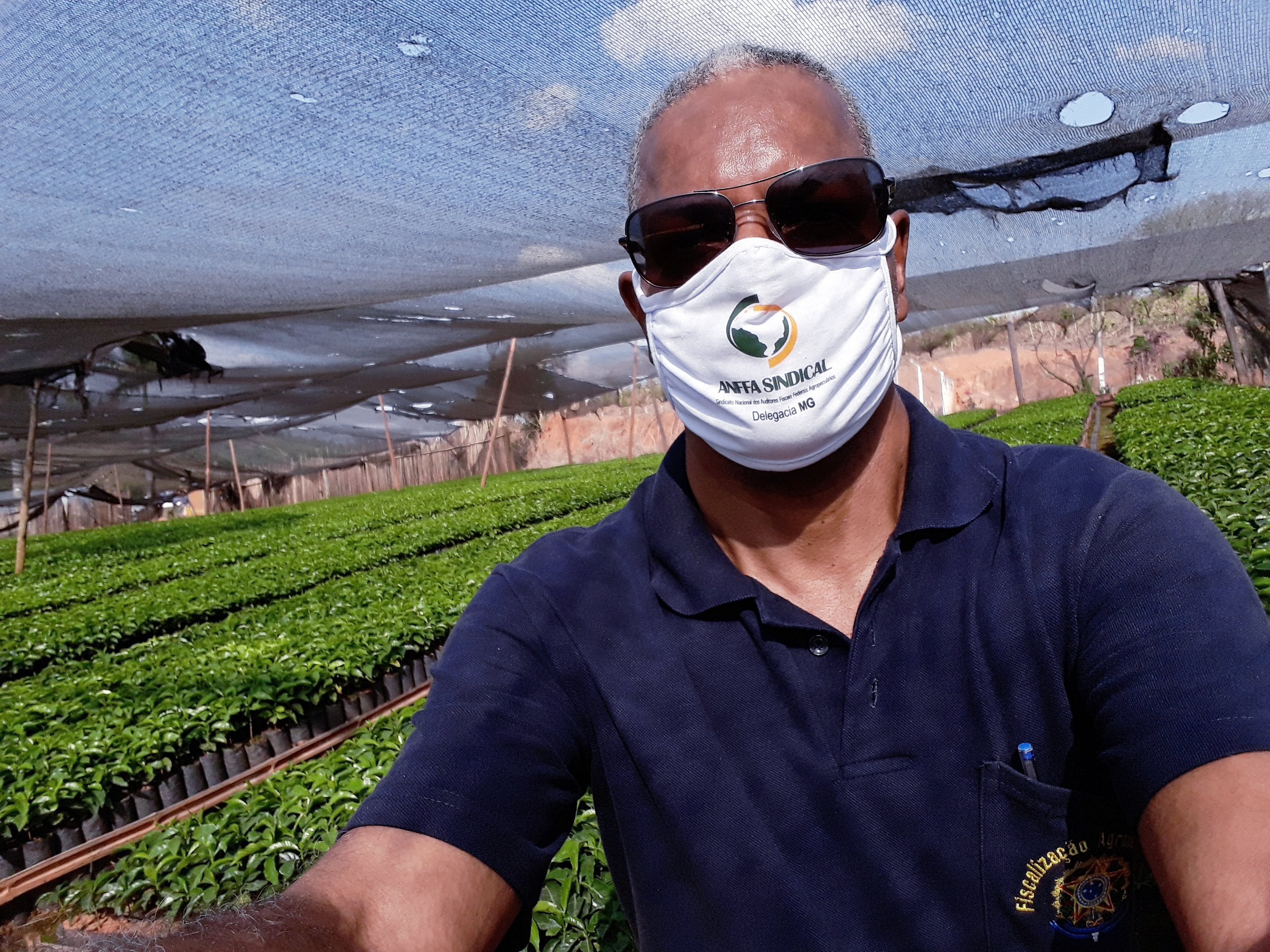 	Viveiro de mudas de café no Sul de Minas Gerais	