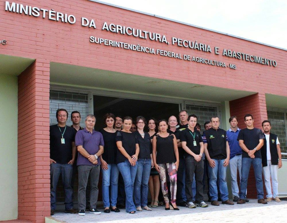 Meritocracia 2015 - Campo Grande