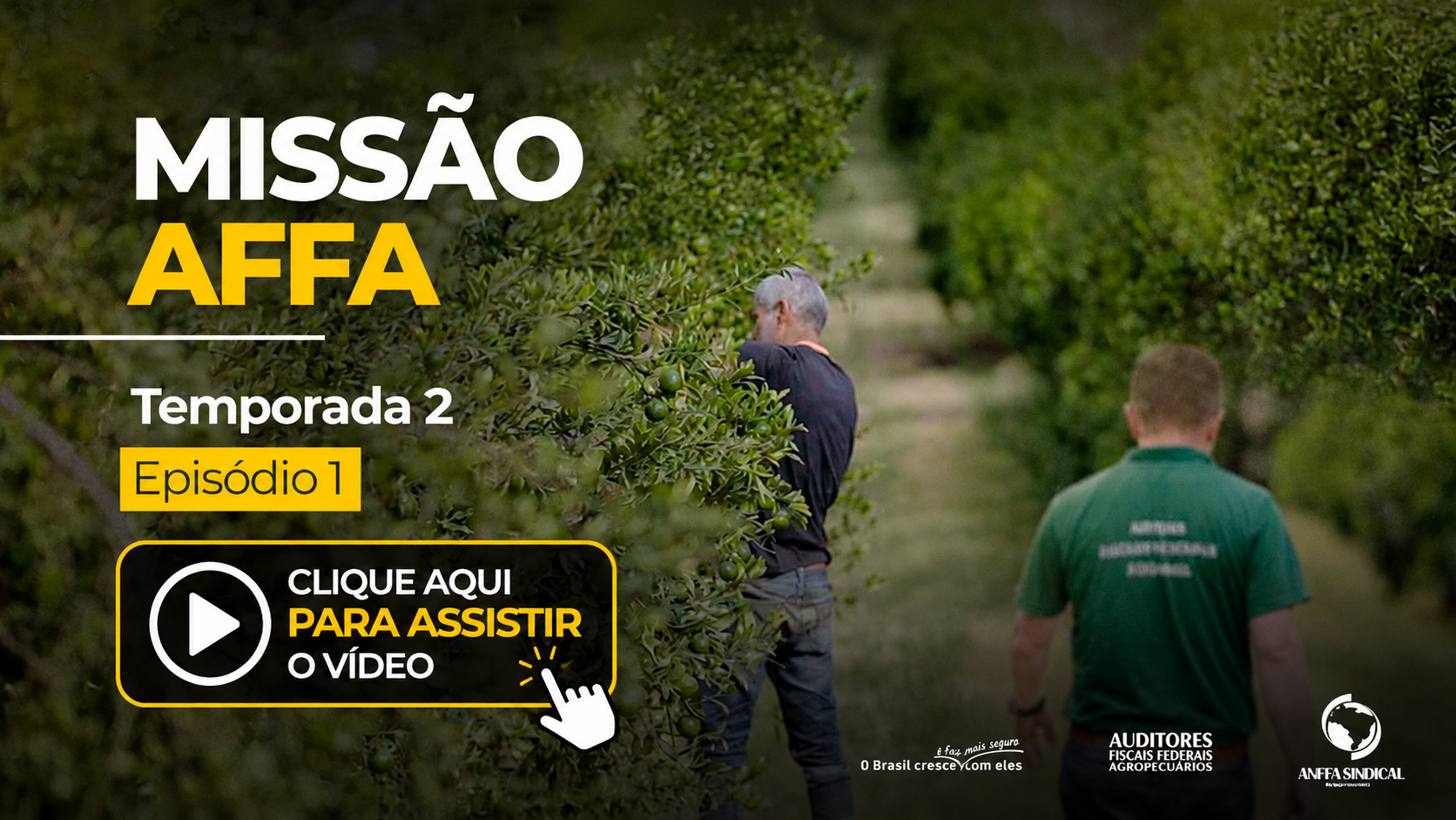 banner principal de topo