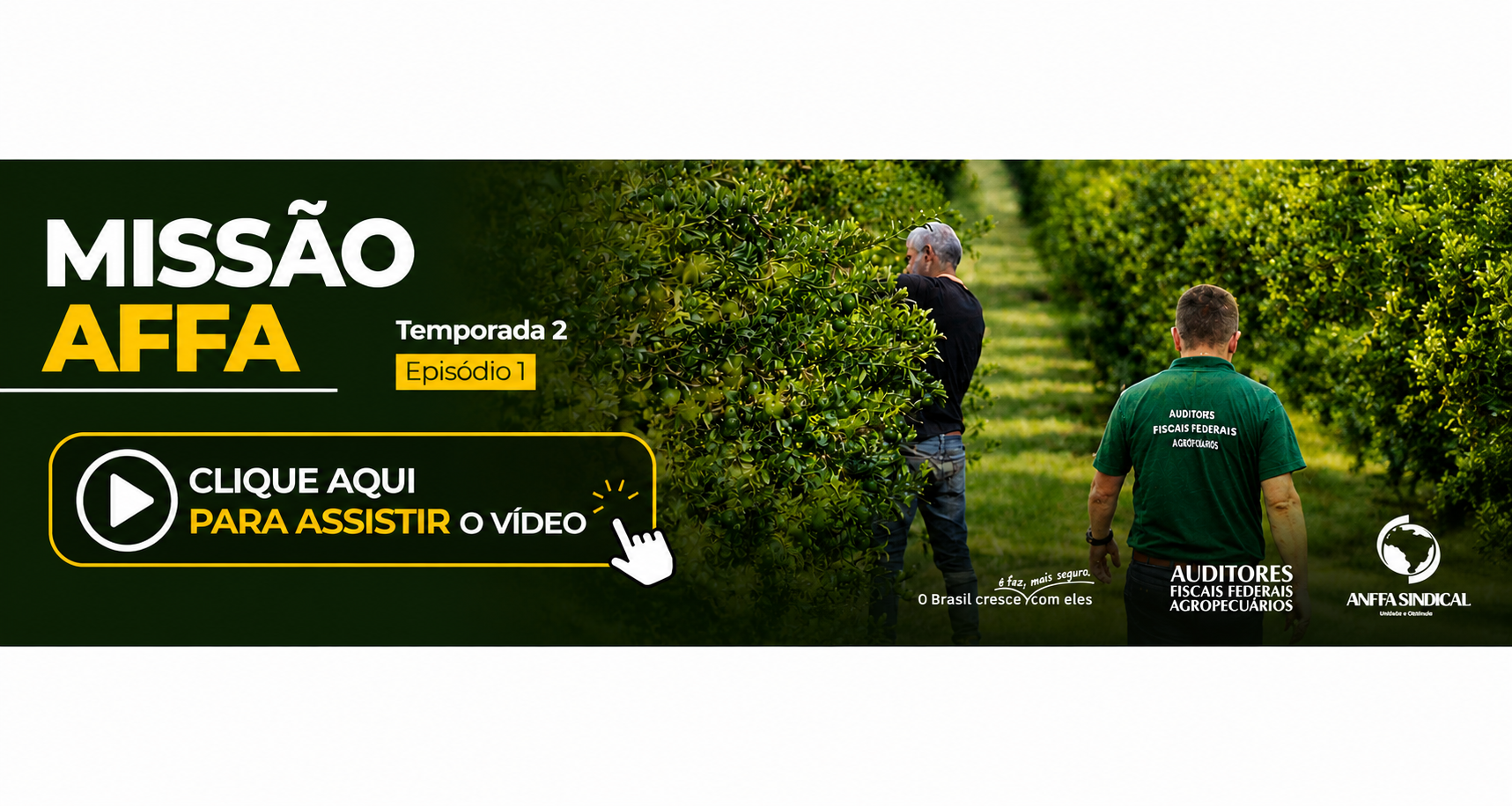 banner principal de topo