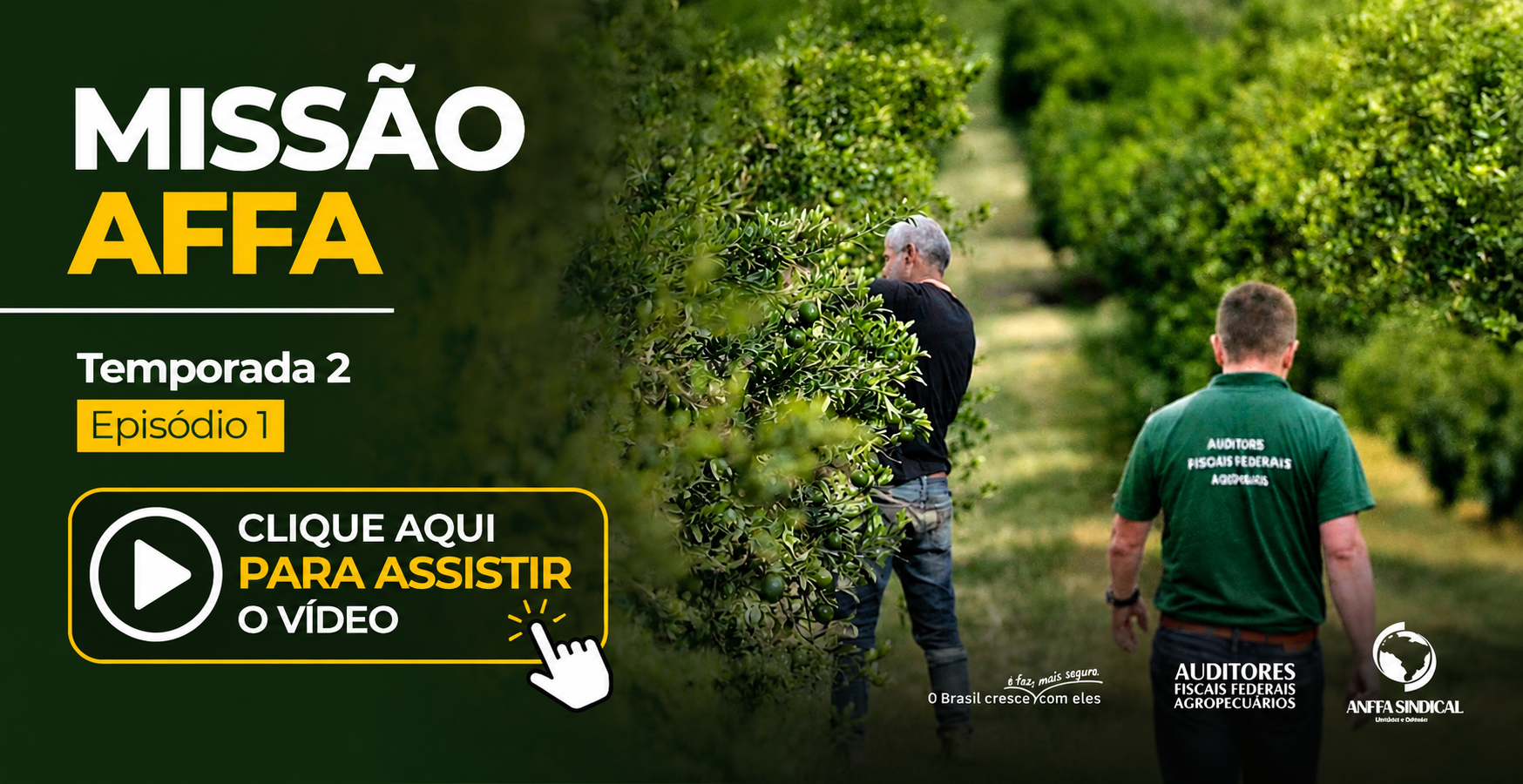 banner principal de topo