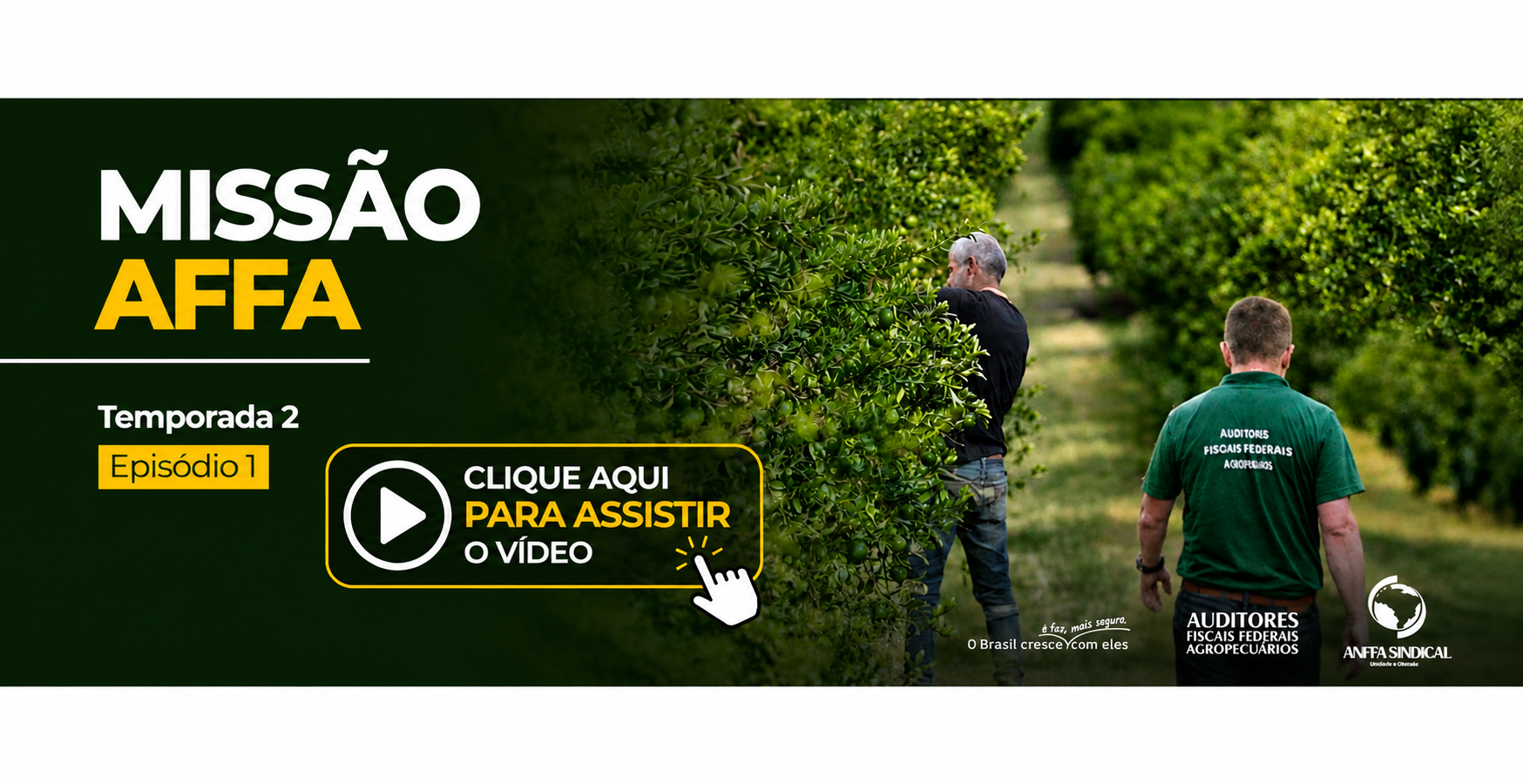 banner principal de topo