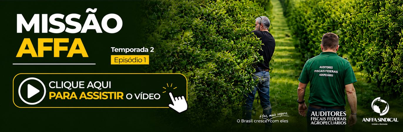 banner principal de topo